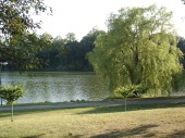 DSC08241.JPG